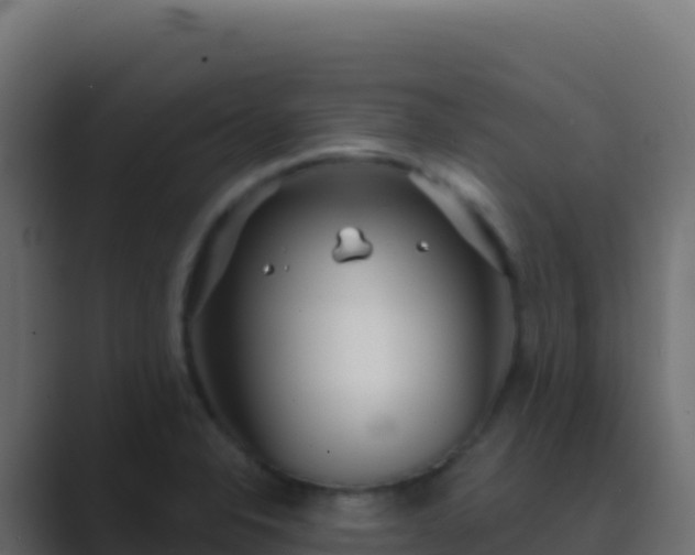 X0000089741326200706281600