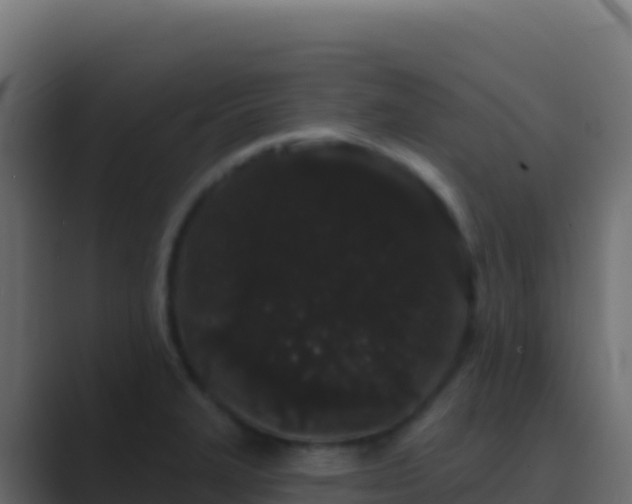 X0000089741327200706281600