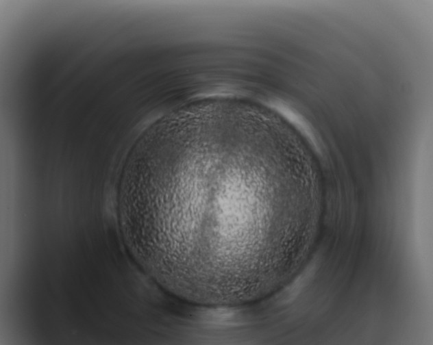 X0000089741329200706281600