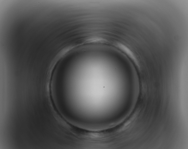 X0000089741330200706281600