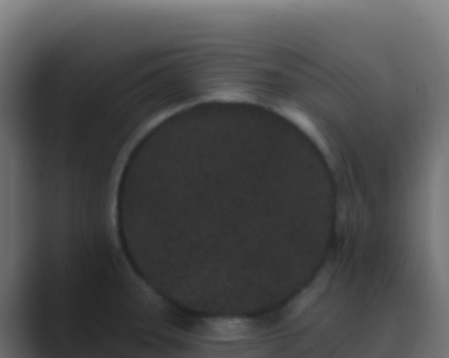 X0000089741331200706281600