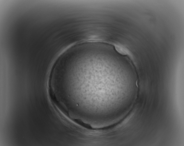 X0000089741333200706281600