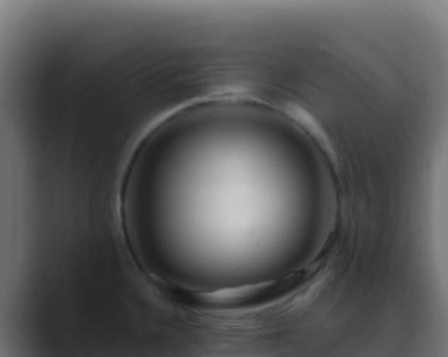 X0000089741336200706281600