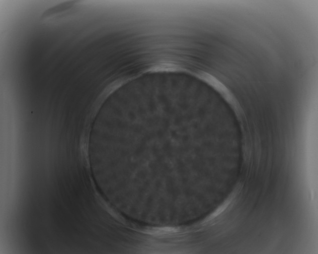 X0000089741337200706281600