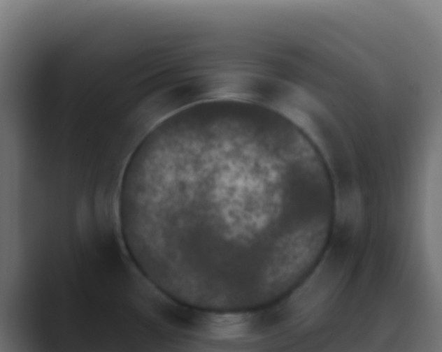 X0000089741338200706281600