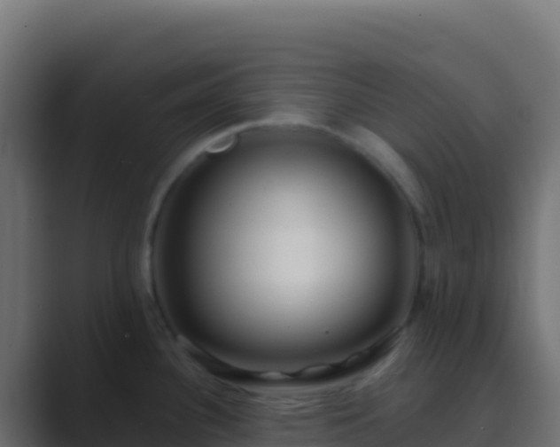 X0000089741340200706281600