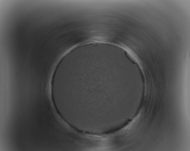 X0000089741341200706281600