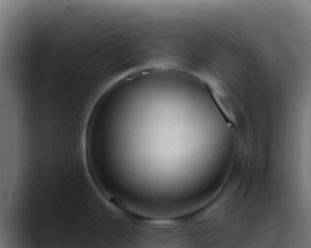 X0000089741343200706281600