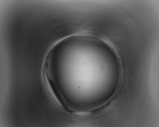 X0000089741344200706281600