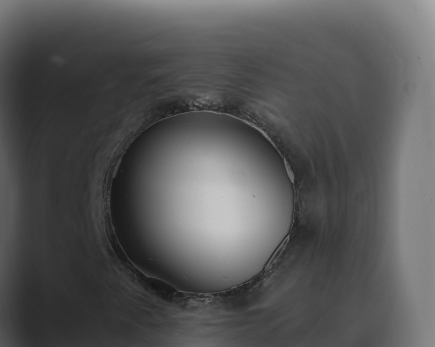 X0000089741345200706281600