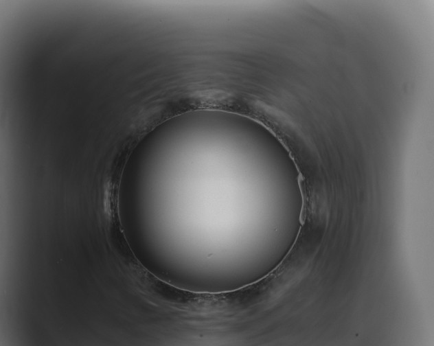 X0000089741346200706281600