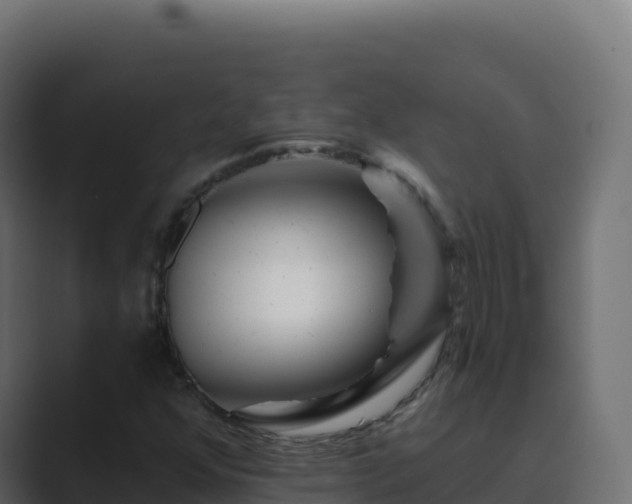 X0000089741352200706281600