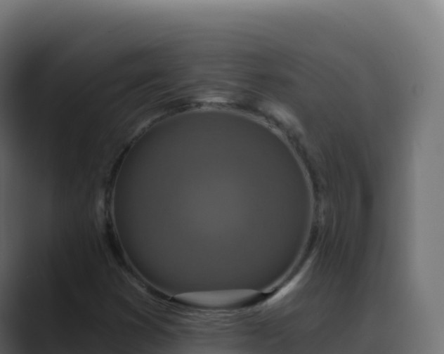 X0000089741353200706281600