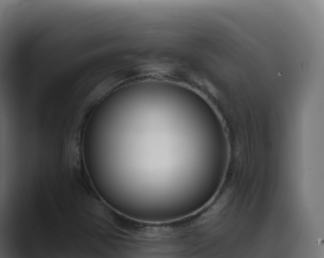 X0000089741354200706281600