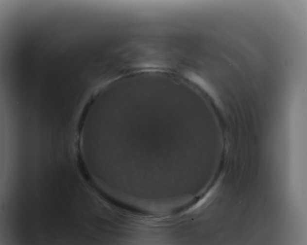 X0000089741357200706281559