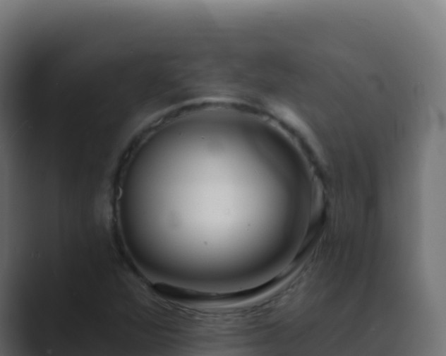 X0000089741360200706281559