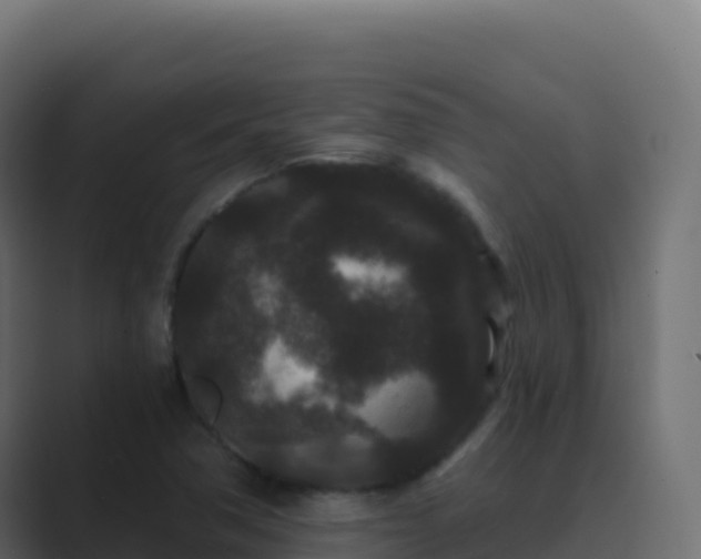 X0000089741362200706281559