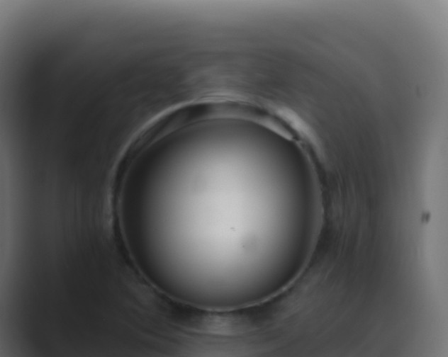 X0000089741364200706281559