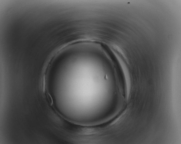 X0000089741371200706281559