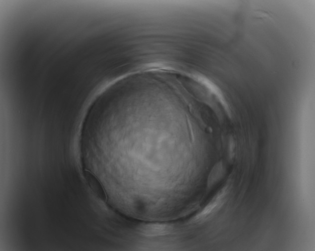 X0000089741373200706281559