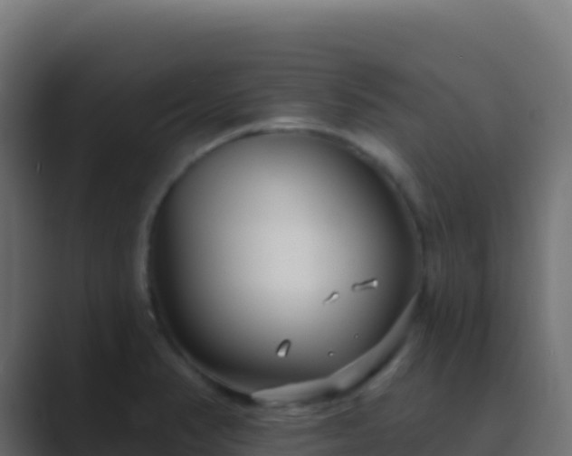 X0000089741374200706281559