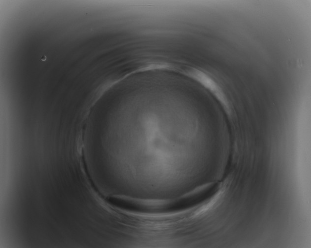 X0000089741377200706281559