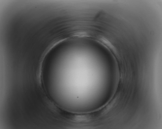 X0000089741378200706281559