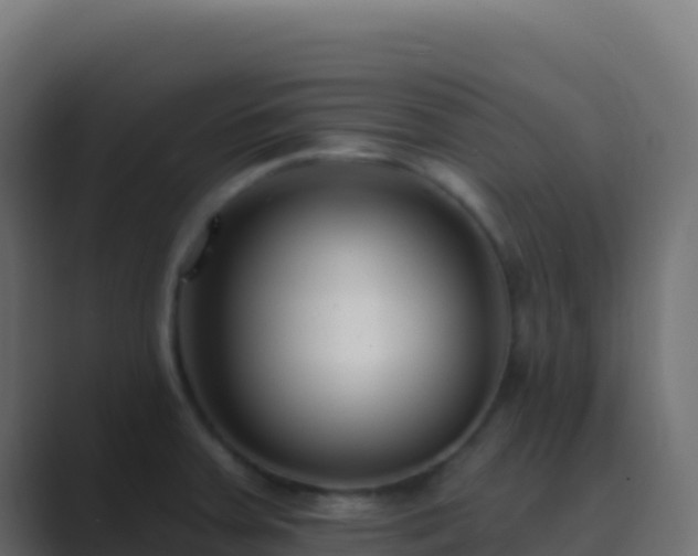 X0000089741379200706281559