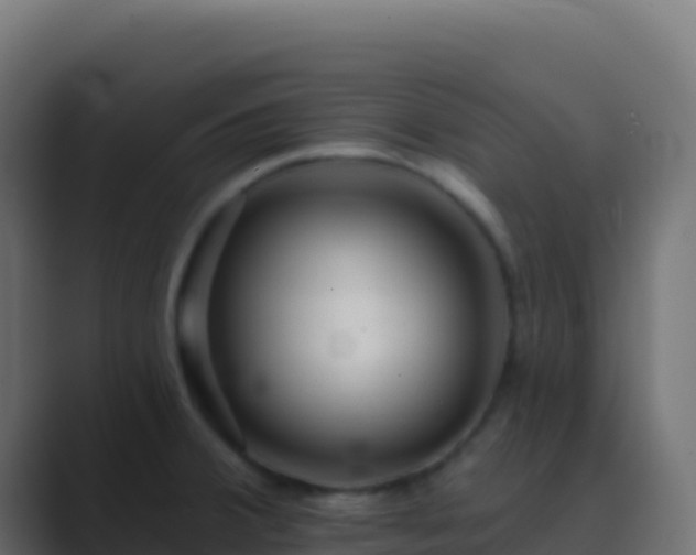 X0000089741380200706281559
