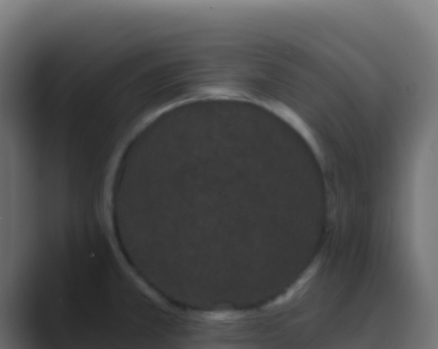 X0000089741381200706281559