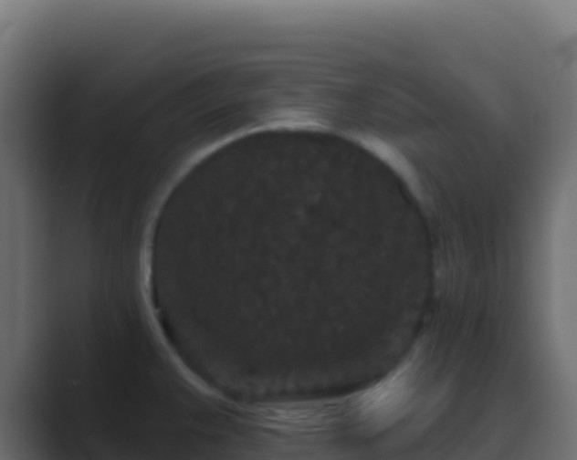 X0000089741383200706281559