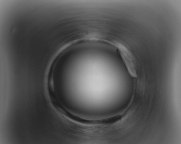 X0000089741384200706281559
