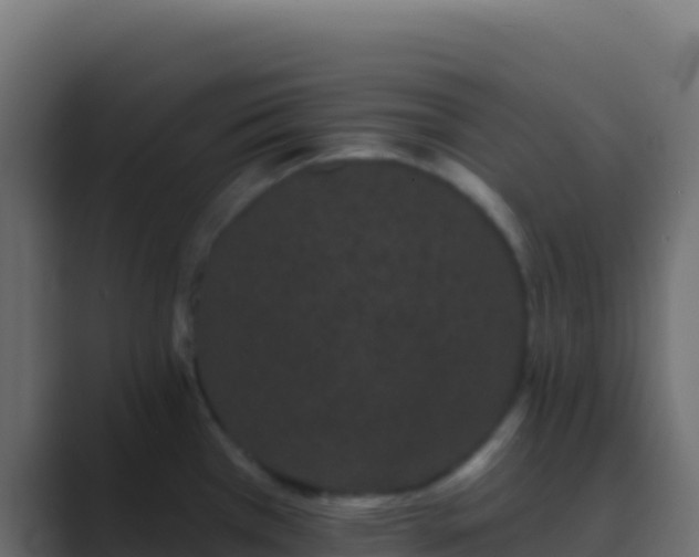 X0000089741385200706281559