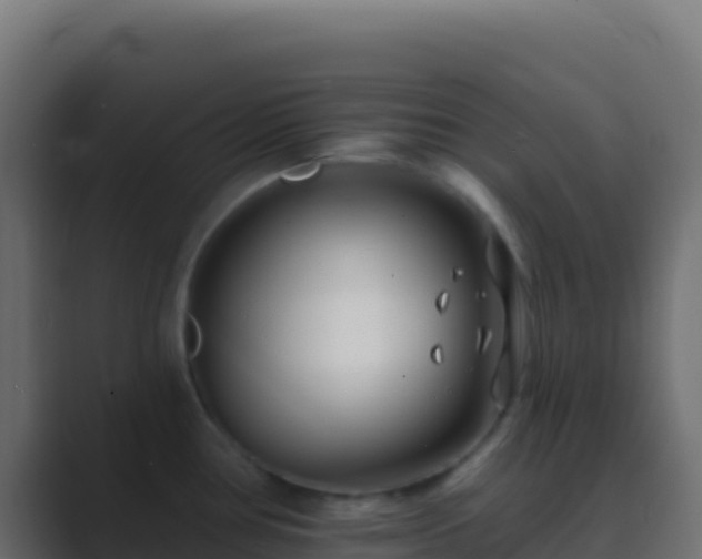X0000089741386200706281559