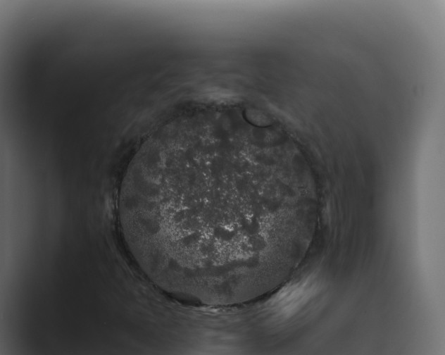 X0000089741397200706281559