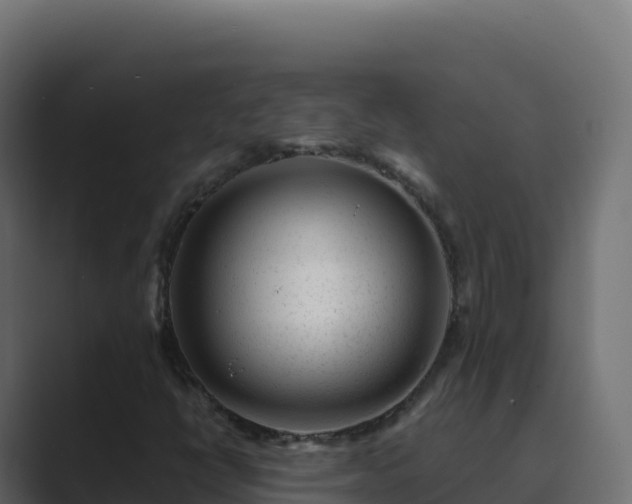 X0000089741398200706281559