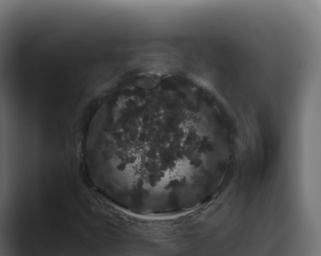 X0000089741399200706281559