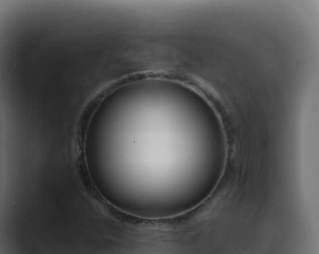 X0000089741400200706281559