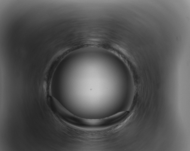 X0000089741402200706281559