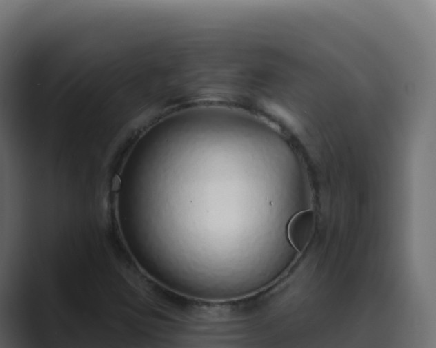 X0000089741403200706281559