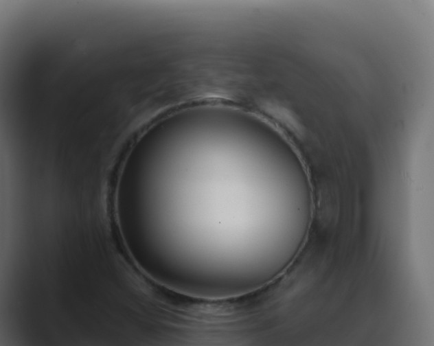 X0000089741404200706281559