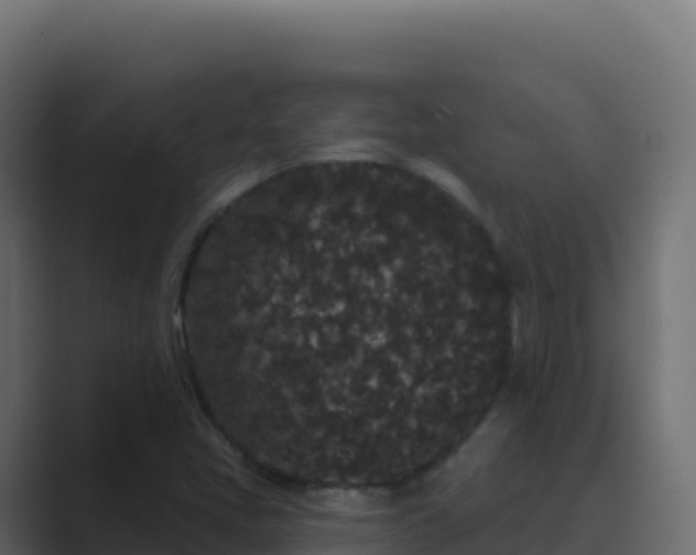 X0000089741405200706281559