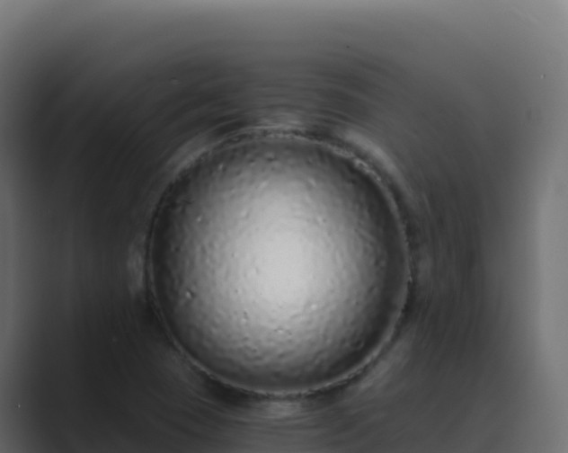 X0000089741409200706281559