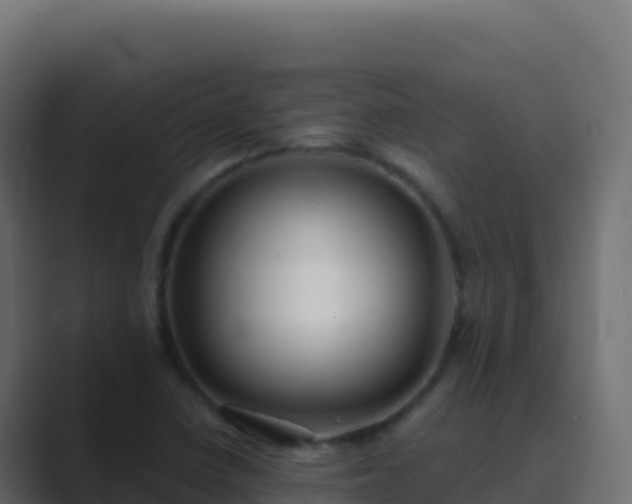 X0000089741410200706281559