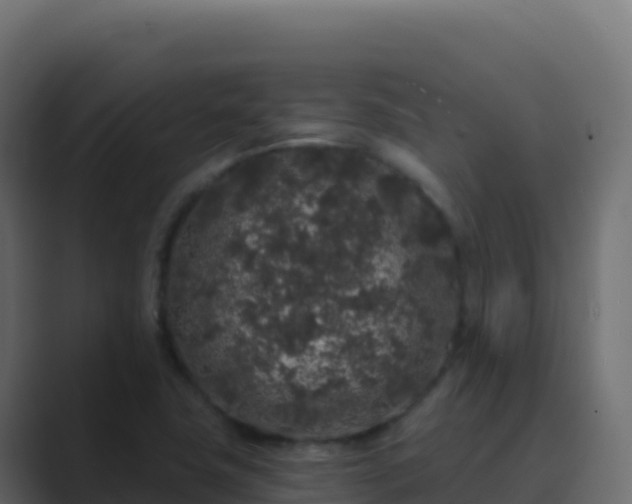 X0000089741411200706281559