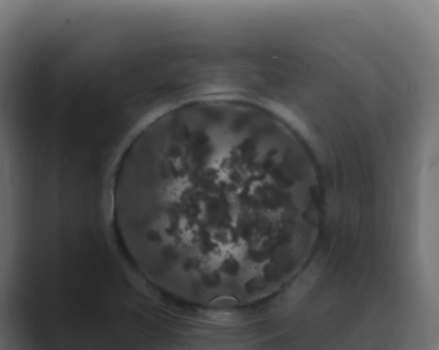 X0000089741413200706281559