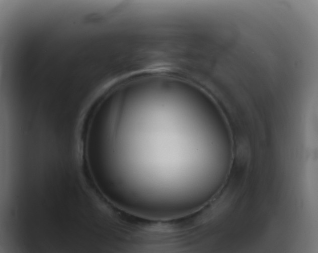 X0000089741414200706281559
