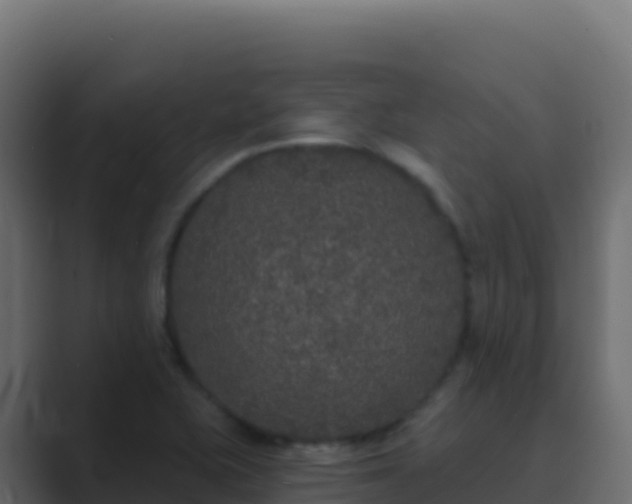 X0000089741415200706281559