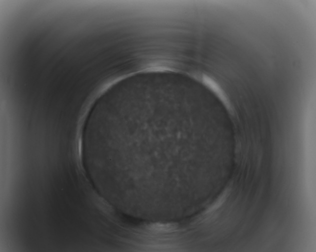X0000089741419200706281559