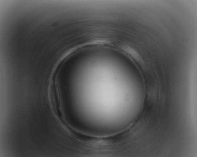 X0000089741420200706281559